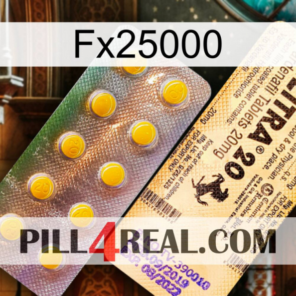 Fx25000 new06.jpg